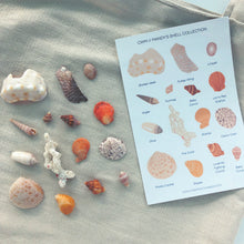 Load image into Gallery viewer, MANDY’S SHELL COLLECTION Sticker Sheet